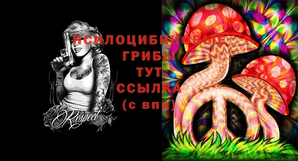 бутират Алексин