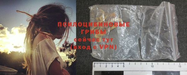 шишки Алзамай