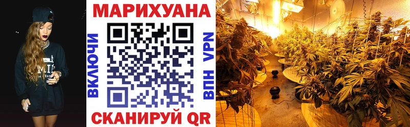 где купить Санкт-Петербург МАРИХУАНА семена